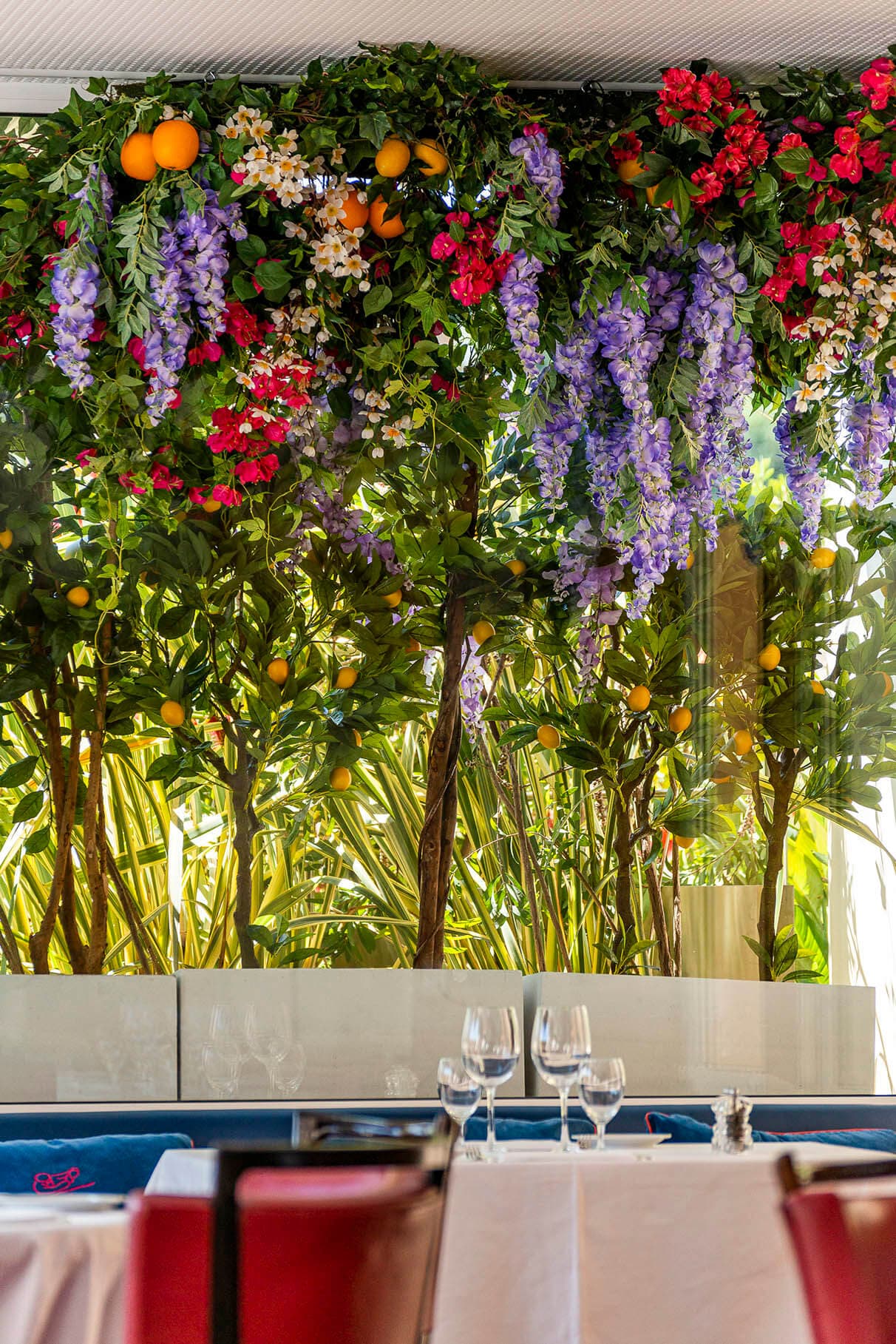 Cipriani Monte Carlo