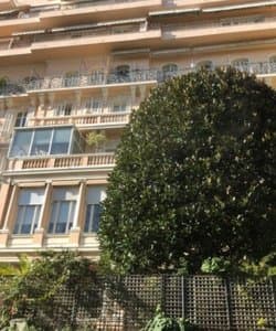 Rare cave à louer au Grande Bretagne				Monte-Carlo / Grande Bretagne