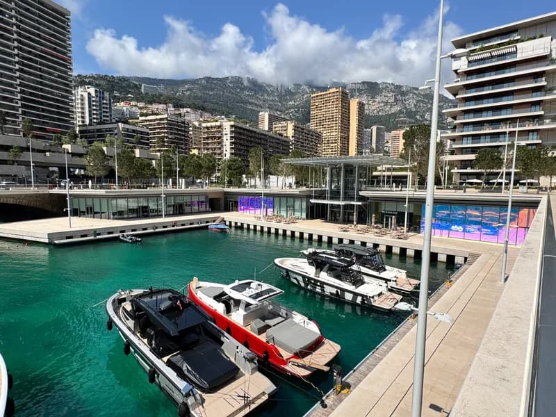 Day boats moored in the exclusive Le Portier private marina at Mareterra, Monaco