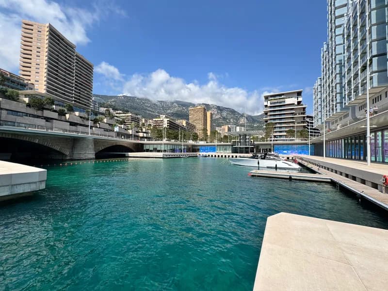 Aerial view of Mareterra and the entrance to the new Le Portier private marina, with Le Mirabeau to the left and Le Renzo to the right and the tall Larvotto buildings in the background