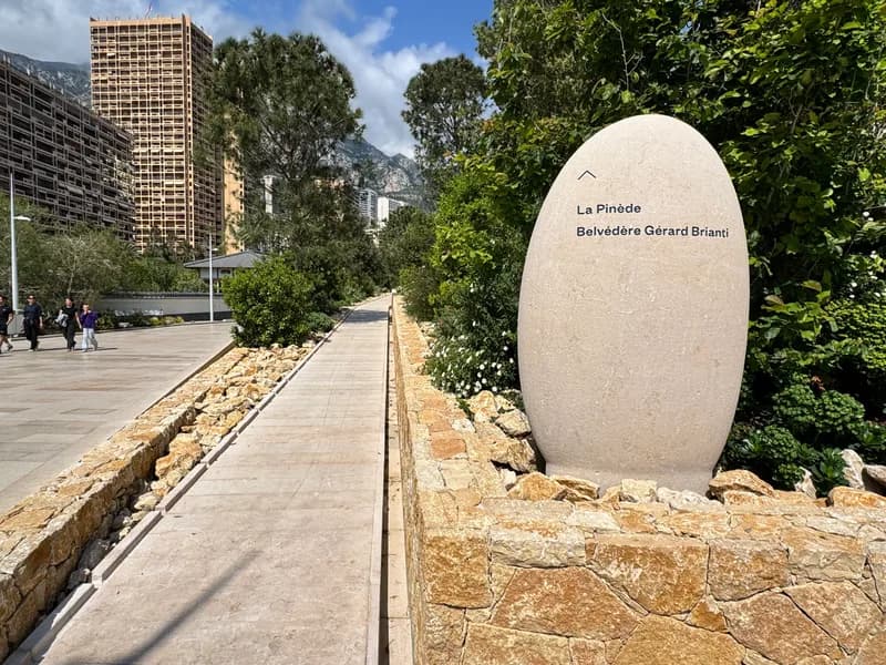The Pinède Belvédère Gérard Brianti walkway at Mareterra, a shaded pinewood pedestrian promenade