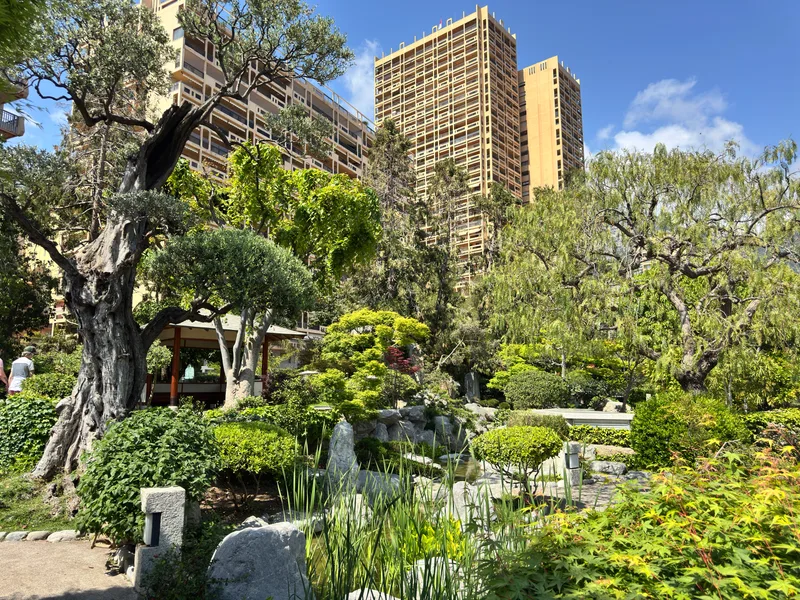 Emilie Palace and Columbia Palace residential towers in Monaco viewed from the Japanese Garden, with the garden's sculpted pines in the foreground
