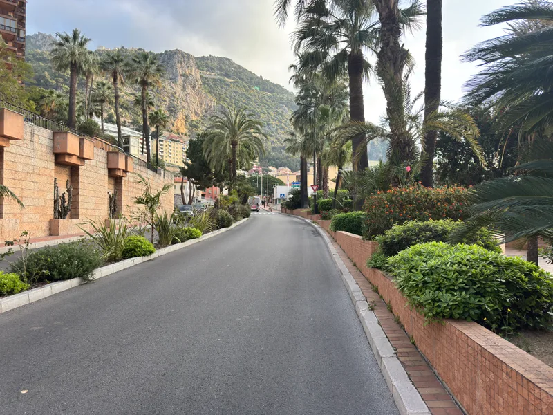 Road through La Rousse in Monaco leading towards the eastern border, lined with palm trees and tropical gardens with the hillside rising beyond